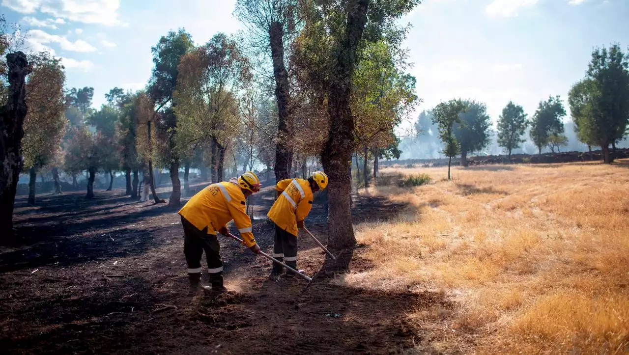 (S+) Klimakrise in Spanien: Am Ground Zero der europäischen Brandsaison