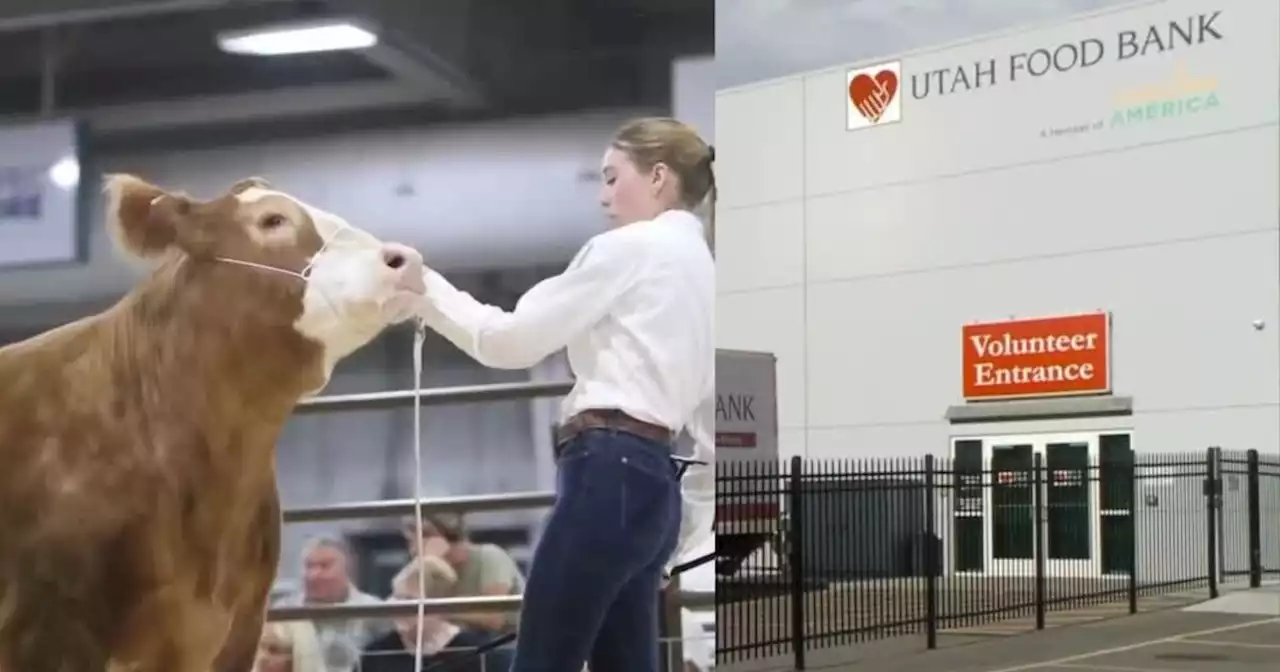 Utah 4-H kids auction off livestock to go to Utah Food Bank