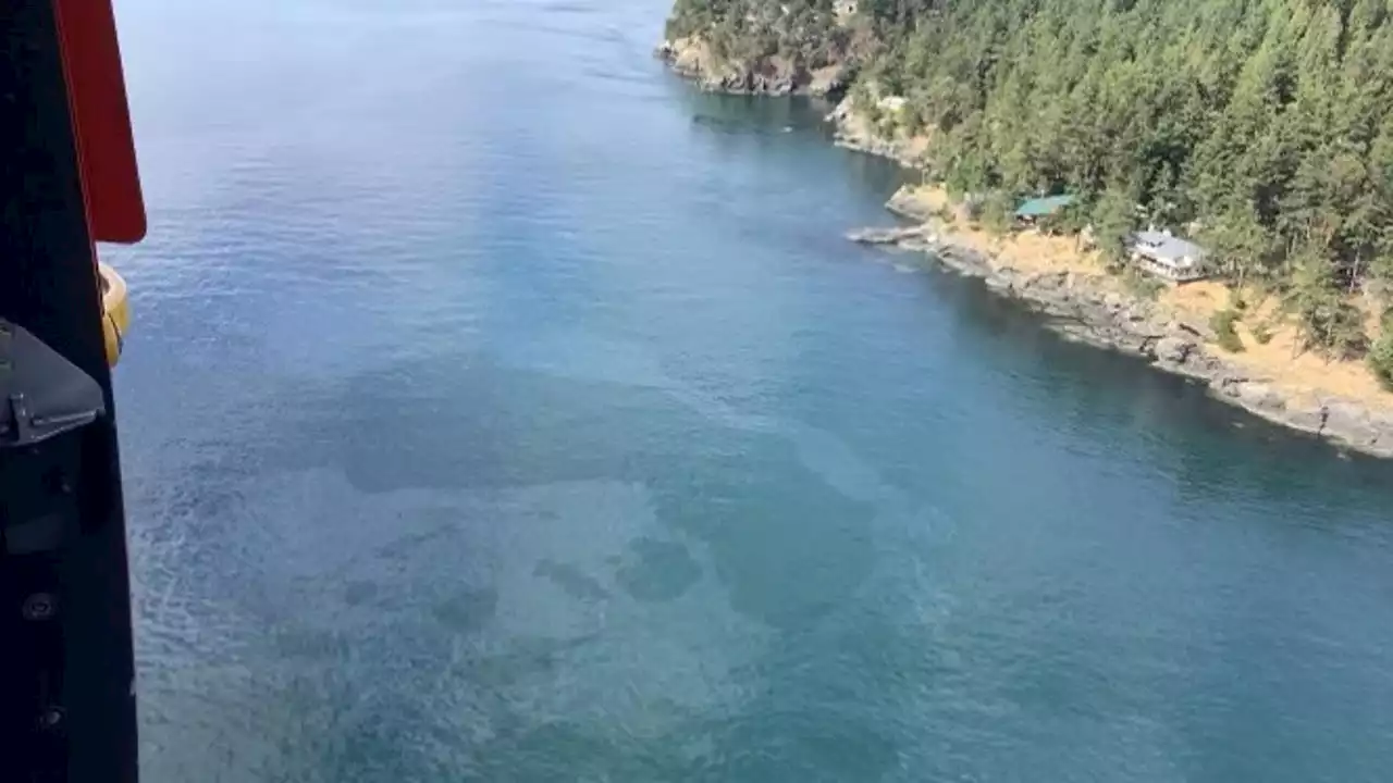 Vessel sinks near San Juan Island, concerns of diesel spill to marine life