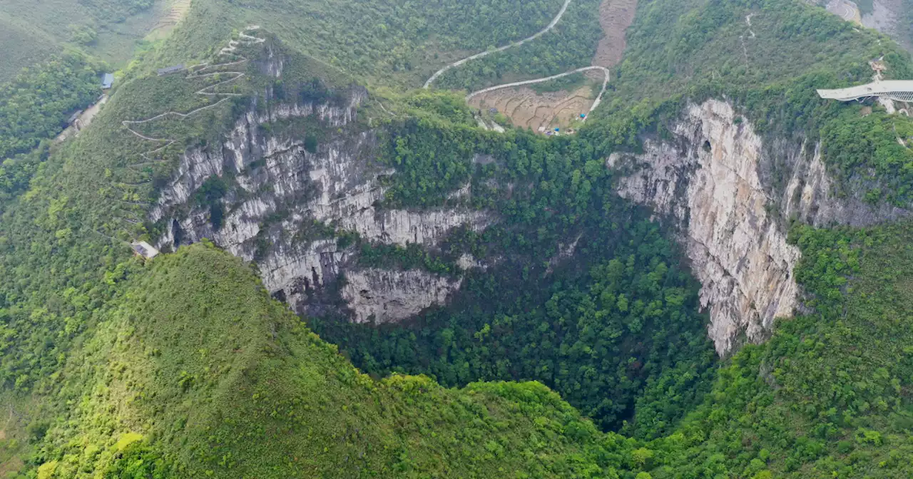 Scientists Discover Ancient Forest at Bottom of Gigantic Sinkhole