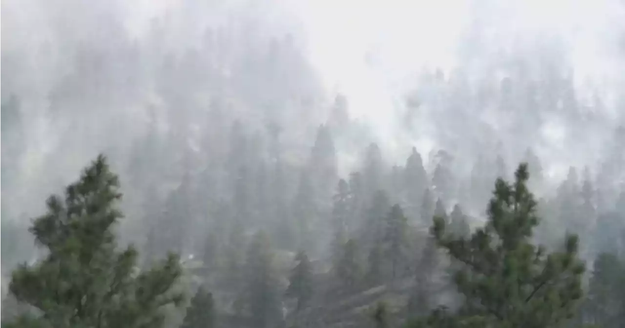 Richter Mountain wildfire: No significant overnight growth, blaze estimated at 50-60 hectares | Globalnews.ca
