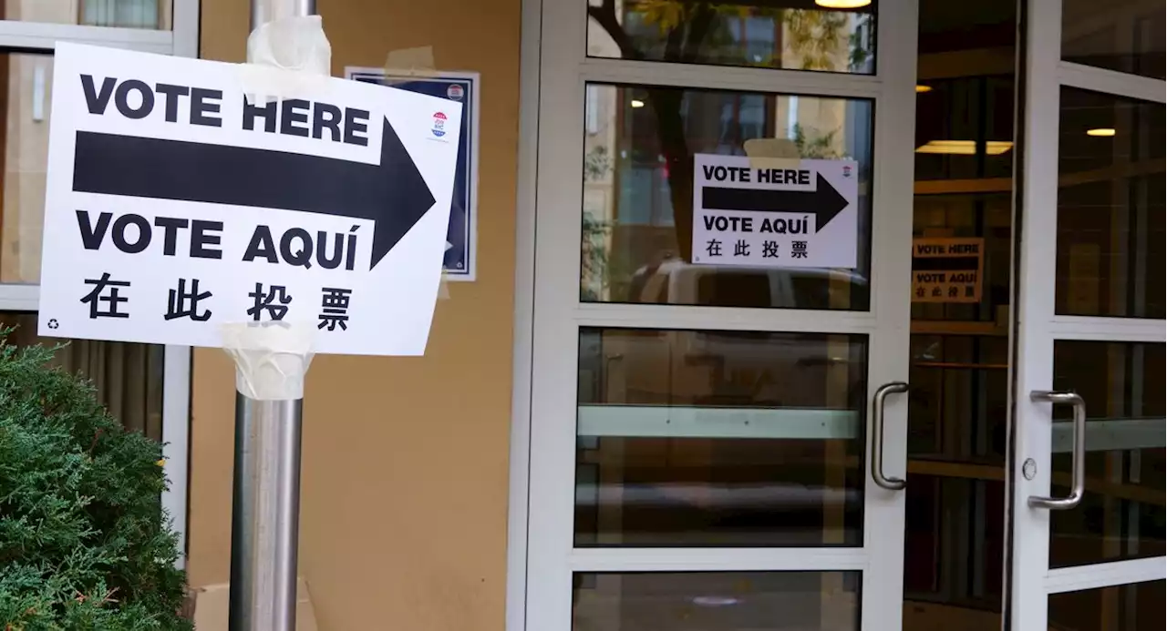 NYC's early voters head to the polls