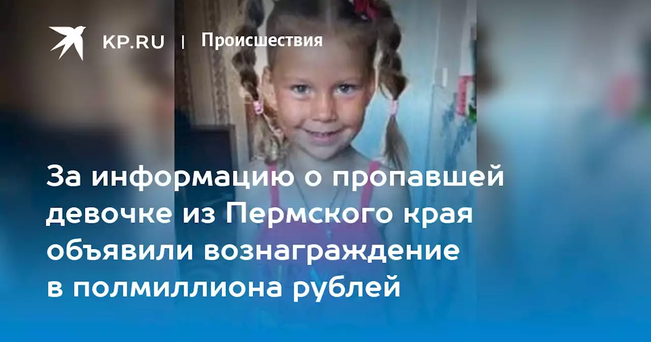 За информацию о пропавшей девочке из Пермского края объявили вознаграждение в полмиллиона рублей