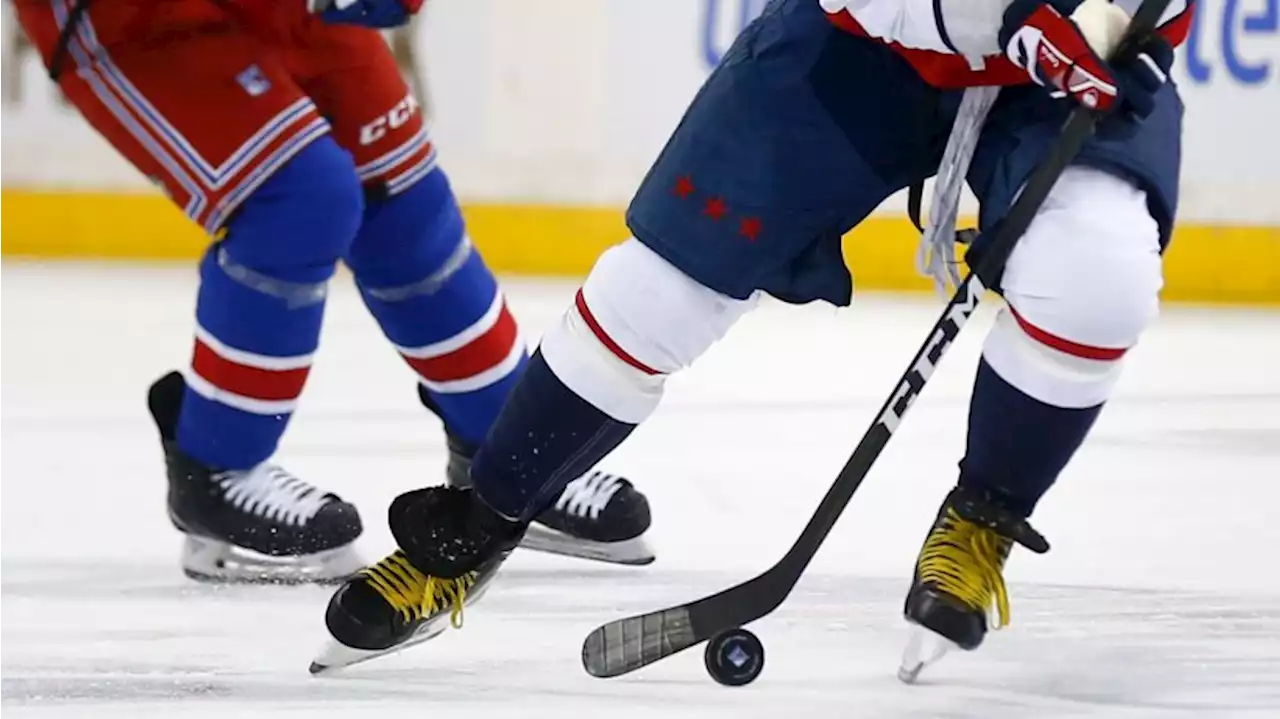 Eisbären Berlin im Finale des Dolomitencups