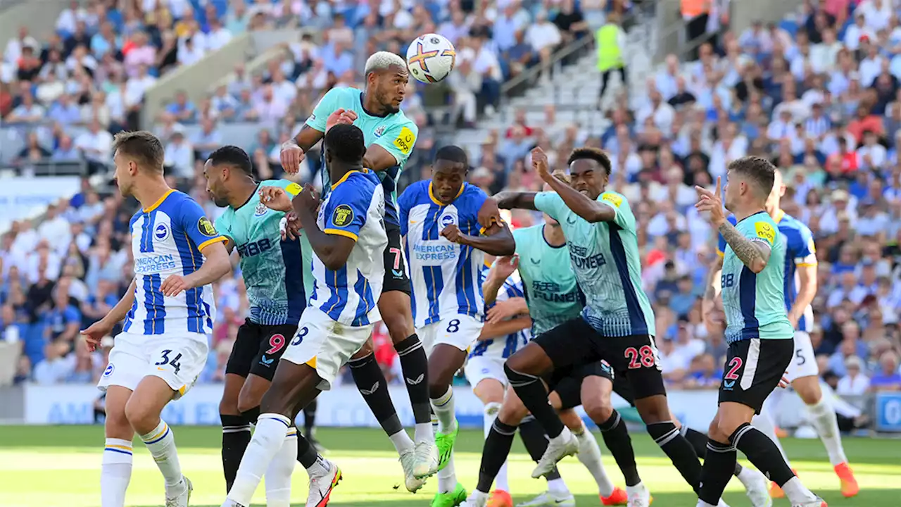 Newcastle United start to the season going exactly as planned