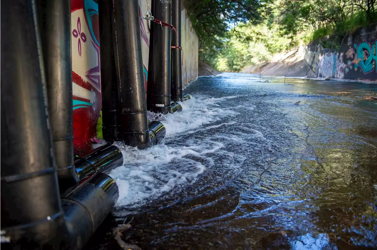 What will it take to save Oahu's freshwater from the Red Hill fuel leak?