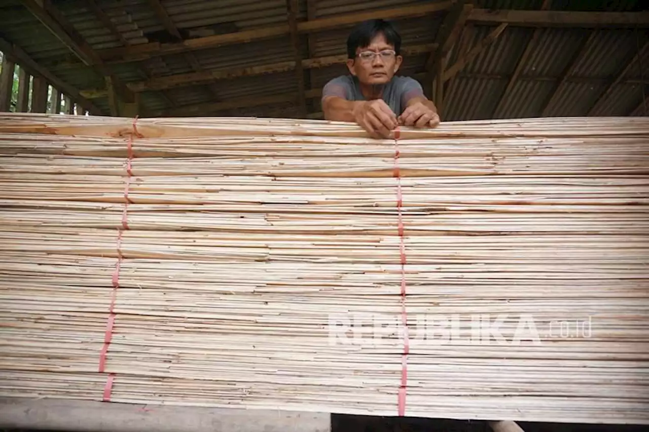 Pemkot Palangka Raya Kembangkan Kawasan Industri Pengolahan Kayu |Republika Online