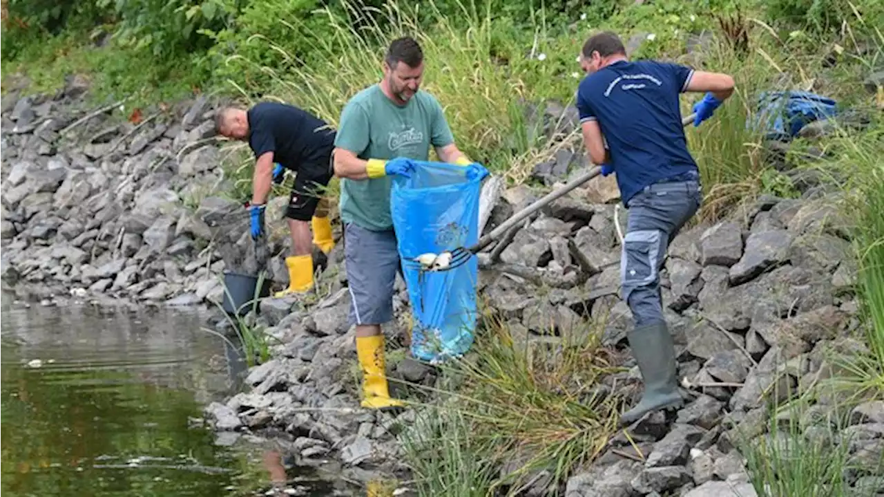 Ölsperre soll bei Bergung helfen