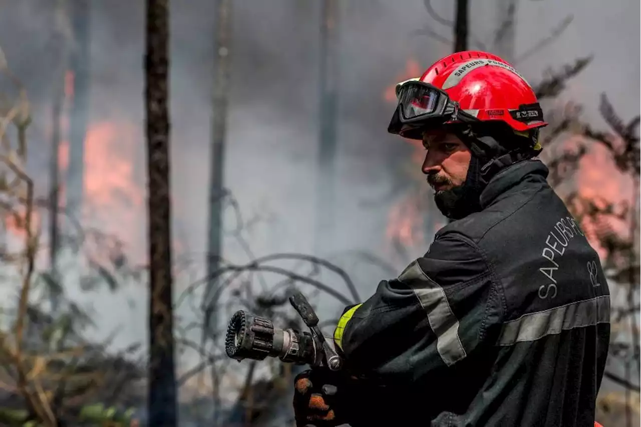 2022 sees record Europe wildfire destruction – EU