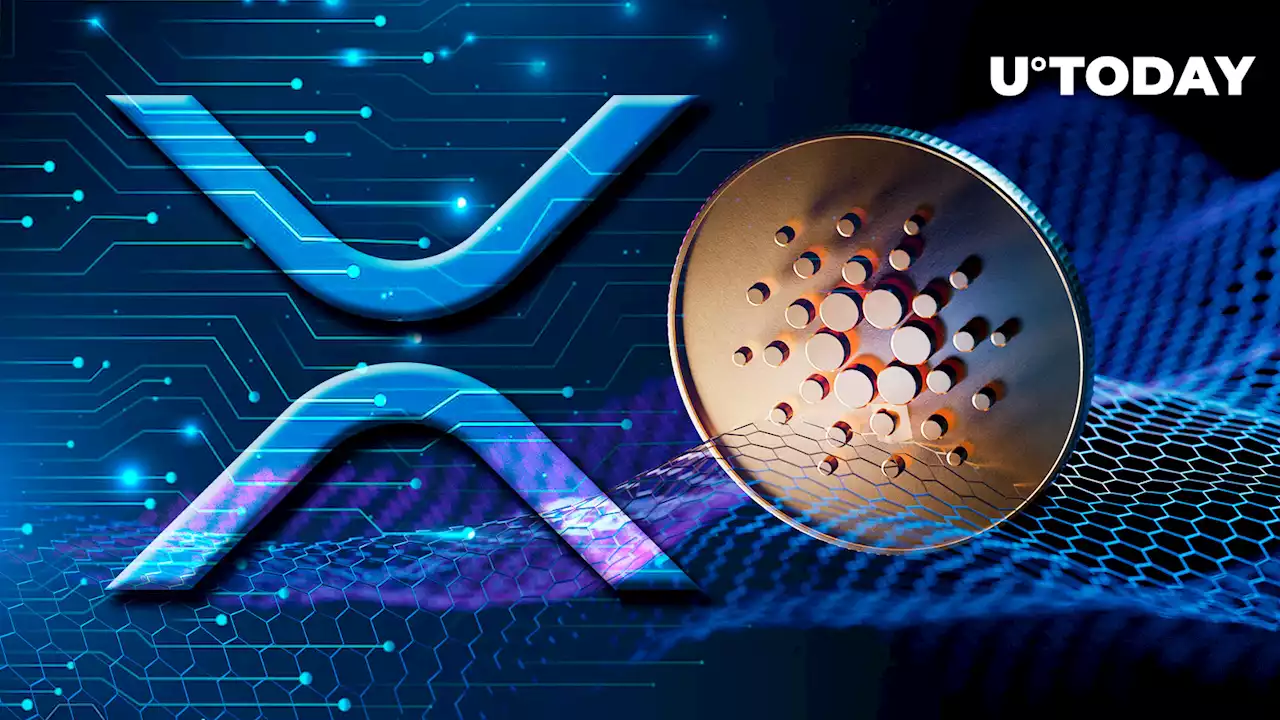 Cardano (ADA) Flips XRP After 4% Price Spike