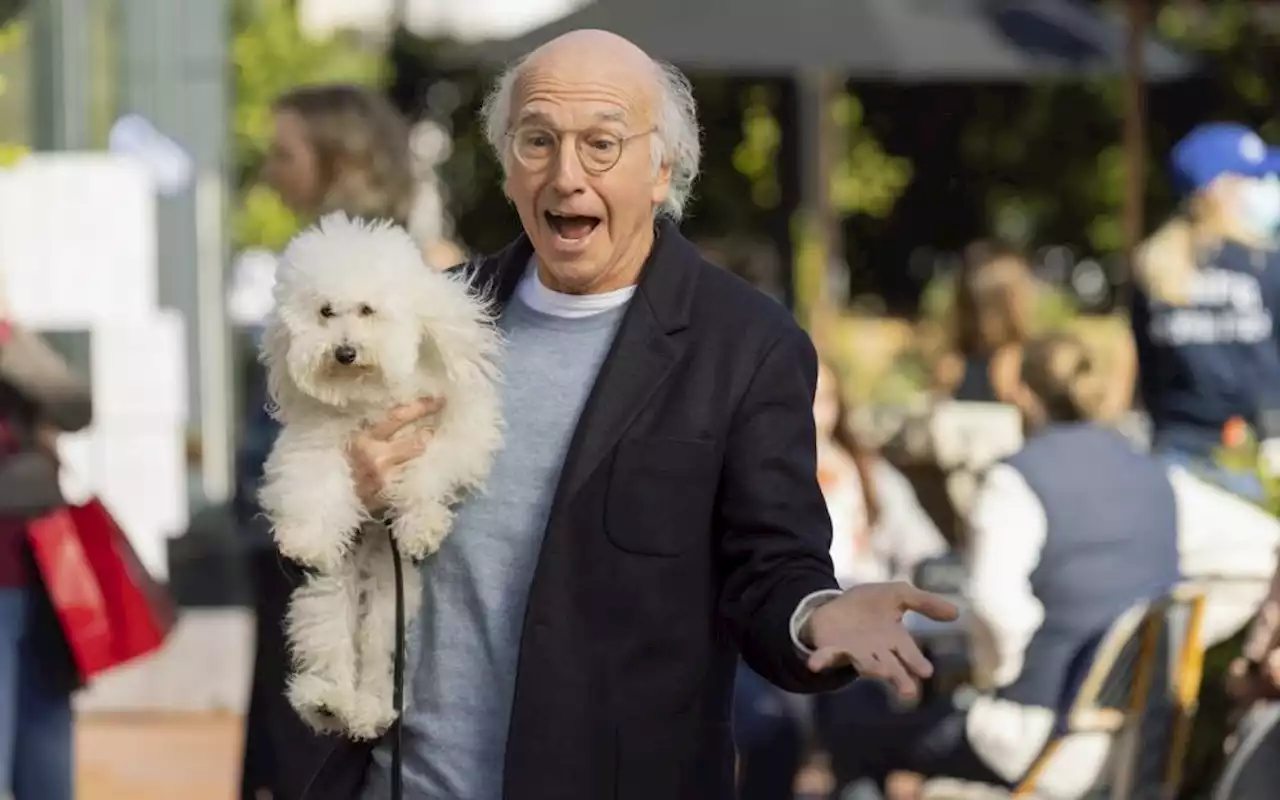 How ‘Curb Your Enthusiasm’ Continues to Soar After 11 Seasons