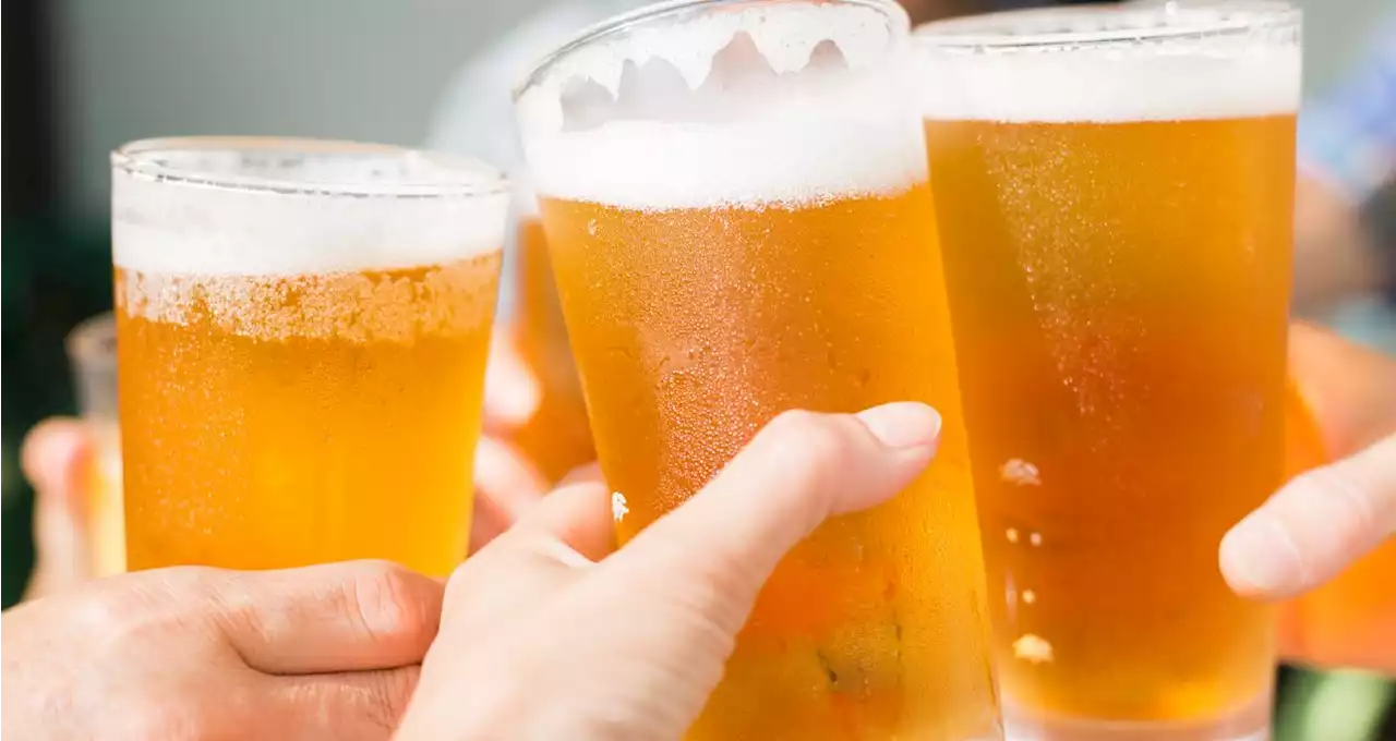 A Beer a Day May Boost Your Gut Microbiome