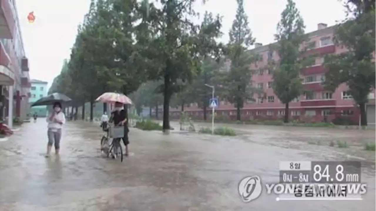 북한 전역 많은 비 경보 발령…'밭 습해·논 침수 막아야' | 연합뉴스