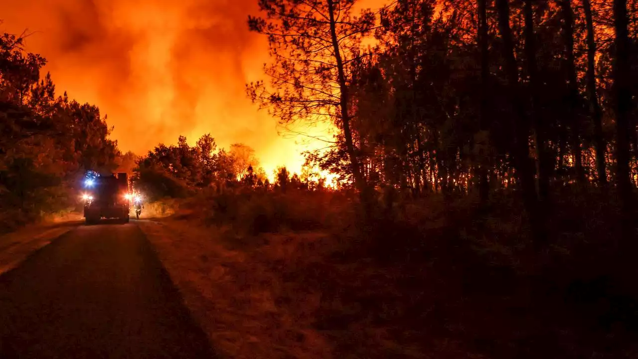 2022 ist Rekordjahr bei Waldbränden in Europa - schon jetzt