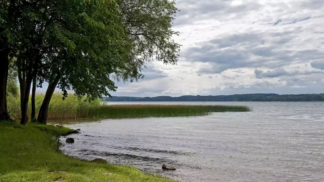 Mecklenburg-Vorpommern: US-Touristin stirbt im Tollensesee