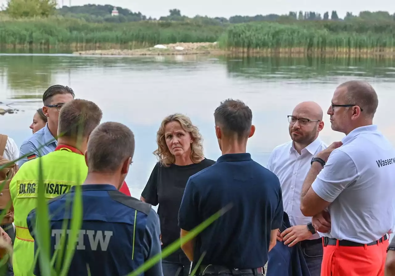 Umweltministerin Lemke: Fische in der Oder wohl durch Industriechemie vergiftet