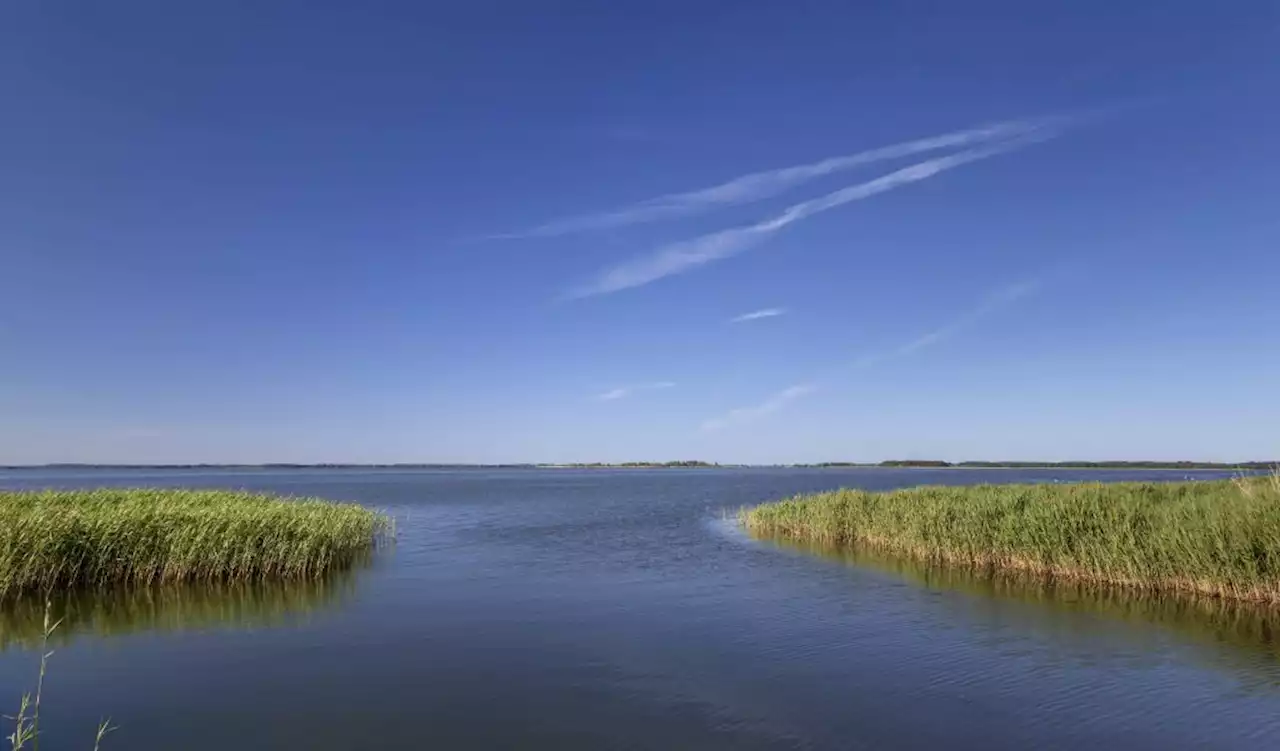 Oder-Gift erreicht Berlins Badewanne Usedom