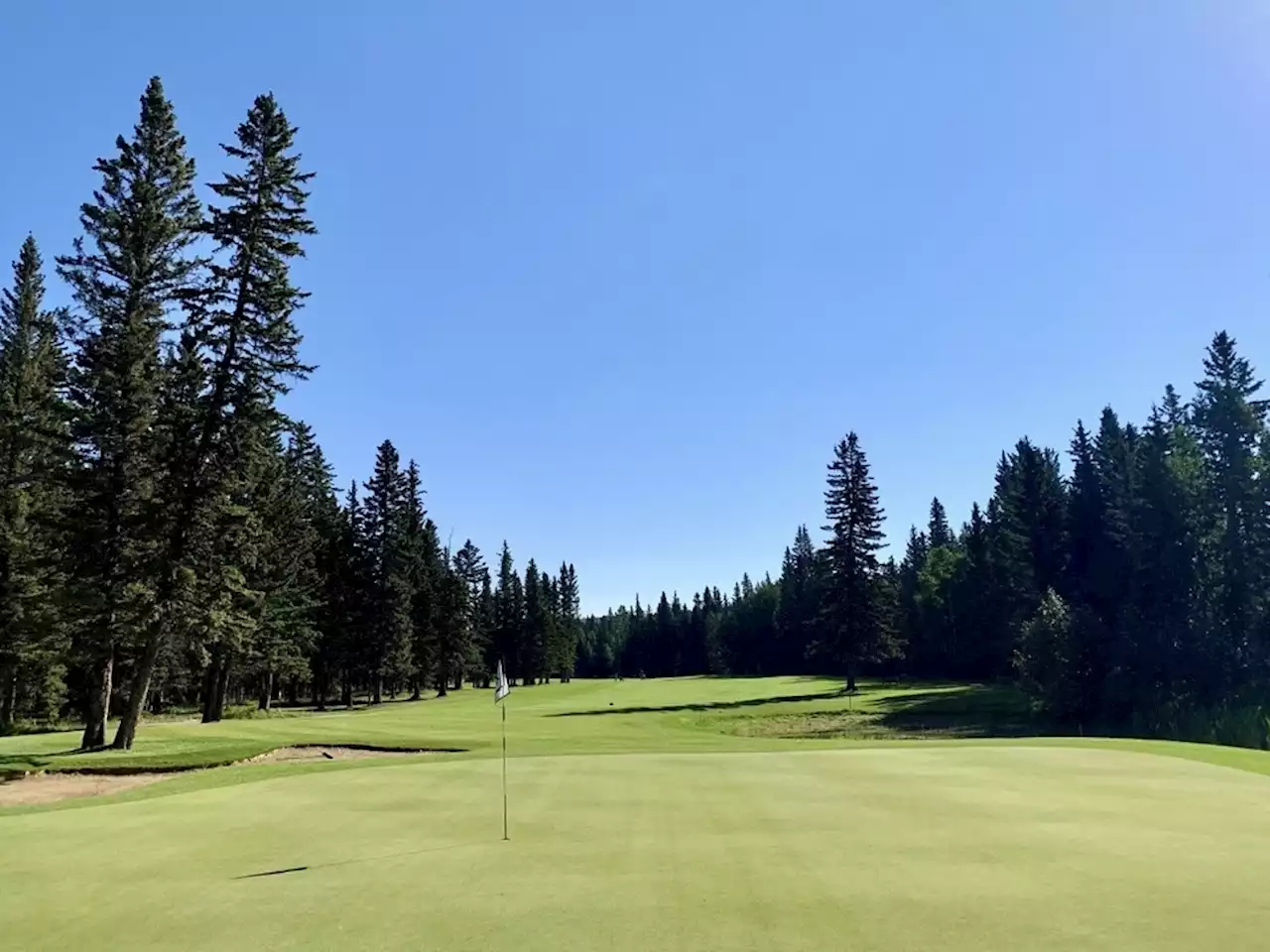 AROUND THE GREENS: Rave reviews for renovation work at Redwood Meadows