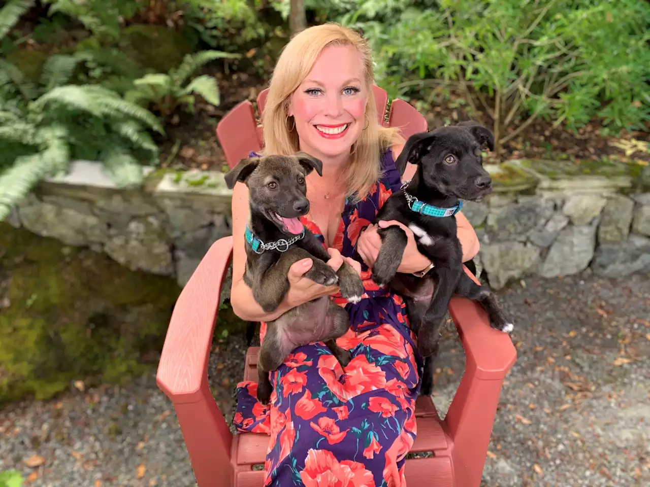 Pet CHEK: Puppies Max & Ruby are up for adoption