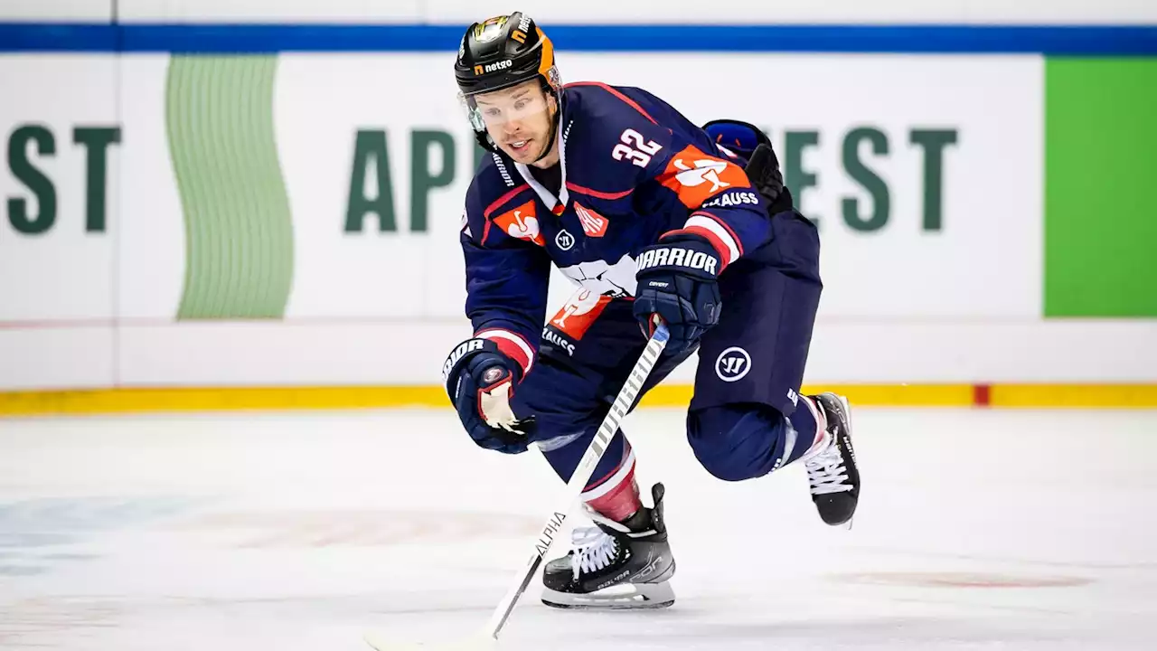 1:4! Eisbären Berlin verlieren Finale gegen Pardubice