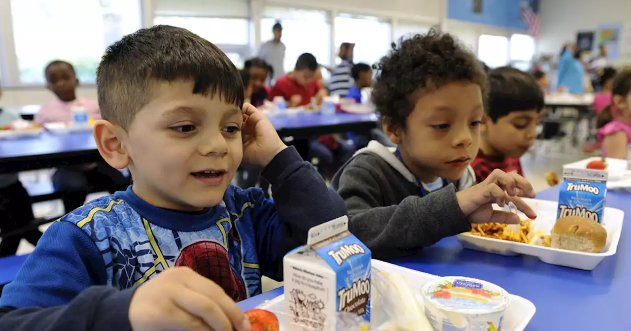 Biden takes gender orthodoxy war to the school lunch line