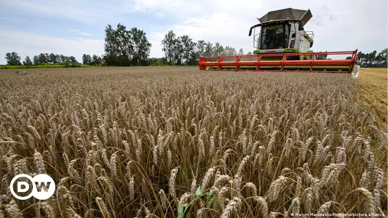 СМИ: Первый корабль с украинской пшеницей прибыл в Стамбул | DW | 15.08.2022