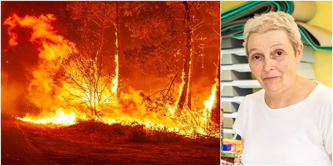 Exceptionellt svåra skogsbränder i Frankrike
