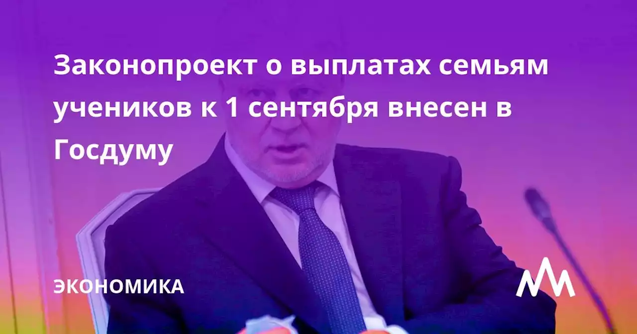 Законопроект о выплатах семьям учеников к 1 сентября внесен в Госдуму