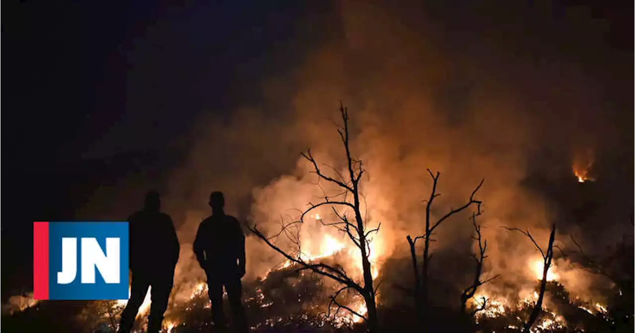 Fogo em Tomar ″quase todo em conclusão″ mas em Abrantes continua ″complicado″