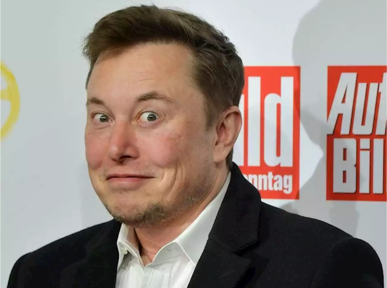 Elon Musk is back to tweeting weed memes