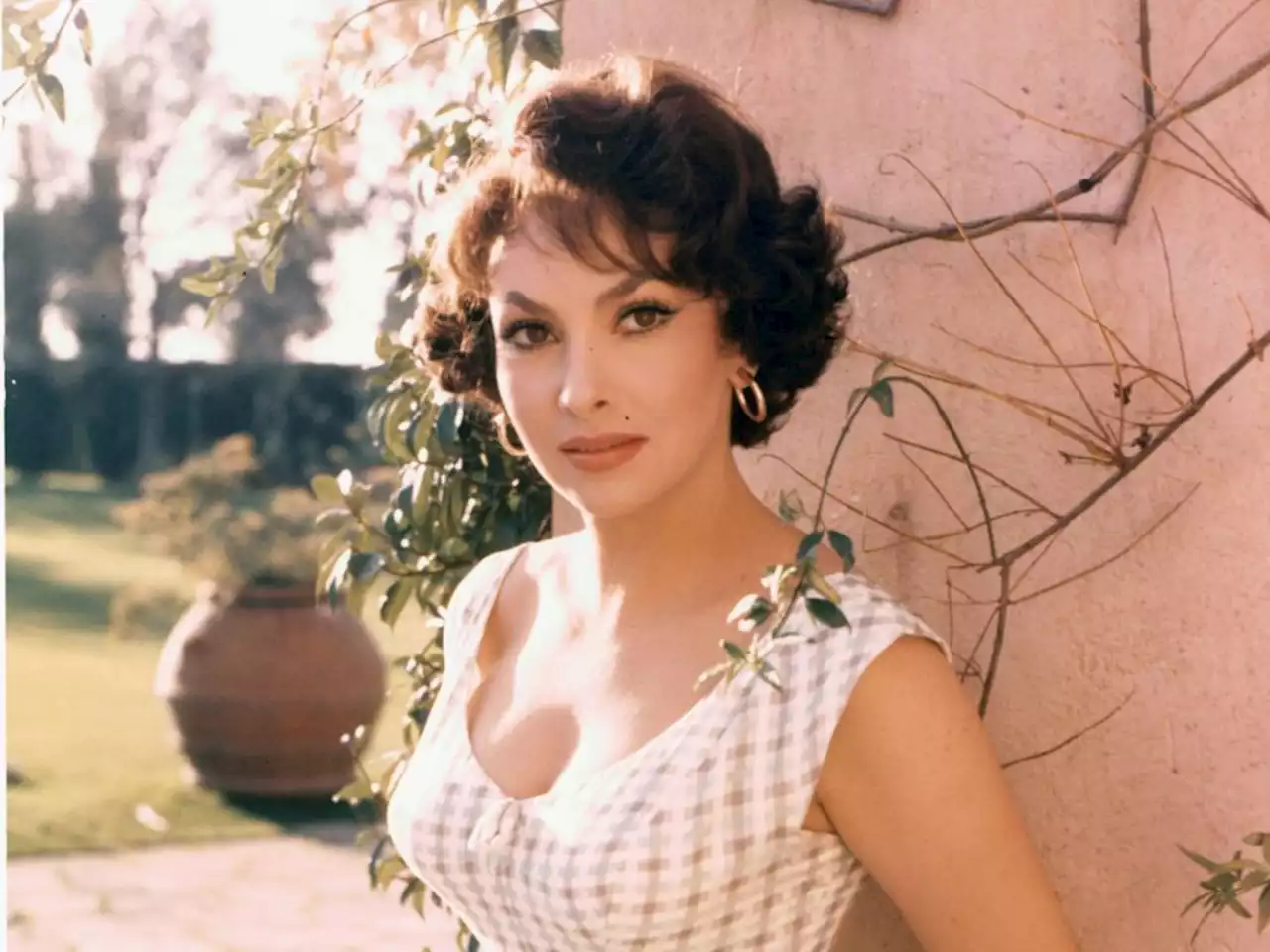 Hollywood icon Gina Lollobrigida running for senate in Italy