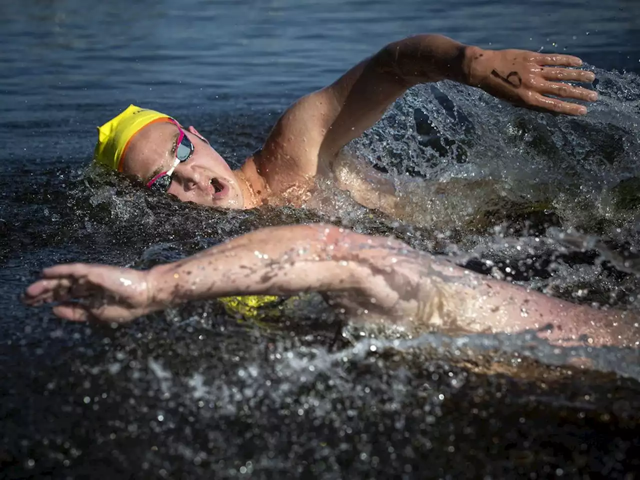 Photos: Ottawa Riverkeeper Open Water Swim, Sunday, Aug. 14, 2022