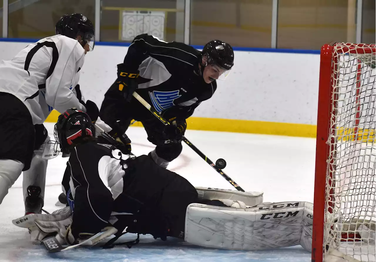 Cape Breton Eagles' rookie players hit the ice for training camp Tuesday in Glace Bay | SaltWire