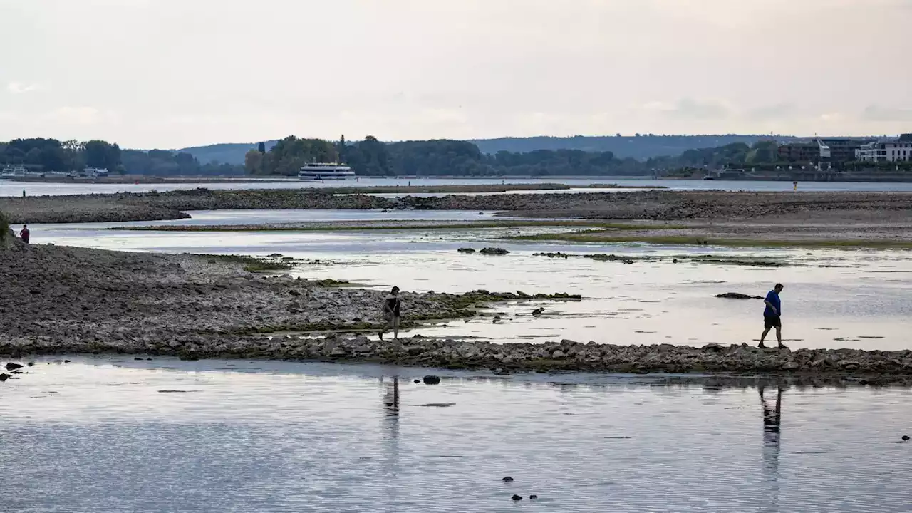 Rhein-Fahrrinne bei Kaub ist nur noch 1,44 Meter tief