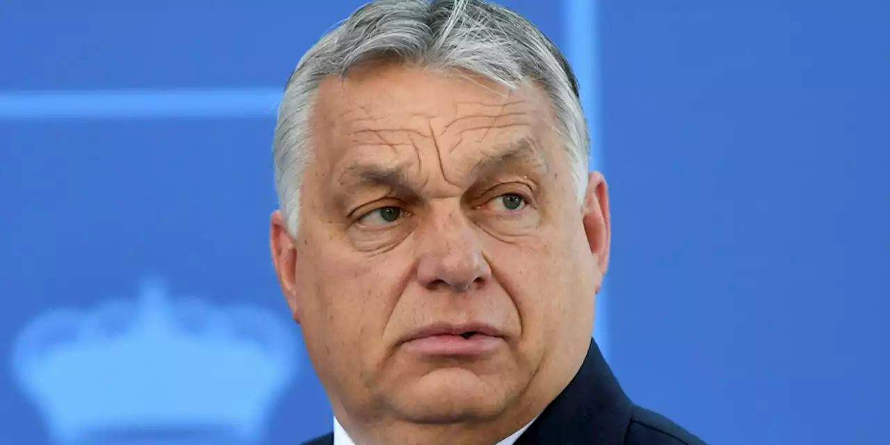 Viktor Orbáns Russlandpolitik: In Putins Spinnennetz