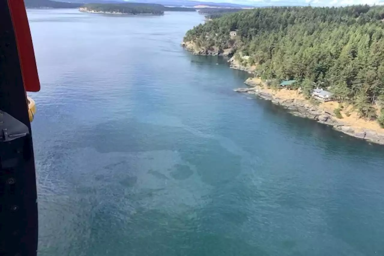 Joint response team working on oil spill spreading to B.C. waters - Terrace Standard