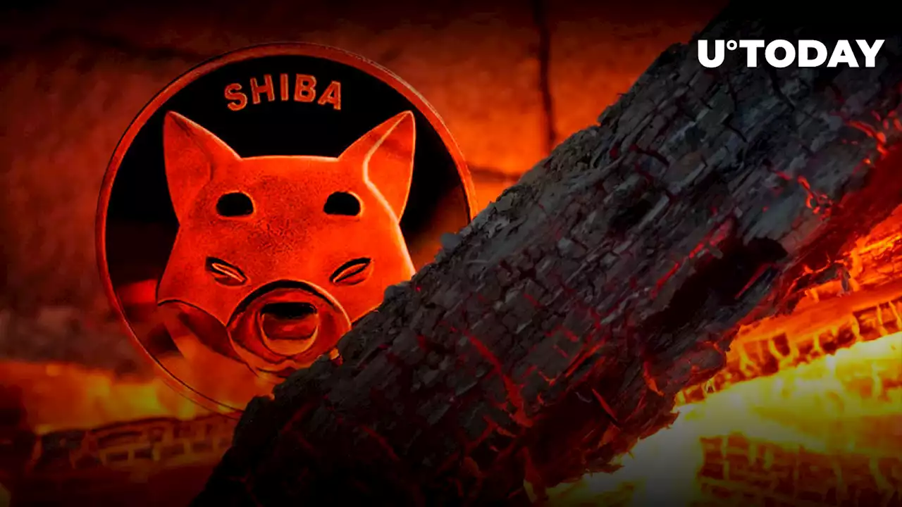 711 Million SHIB Burned in Last Week, Shiba Inu Burn Rate Up 824%