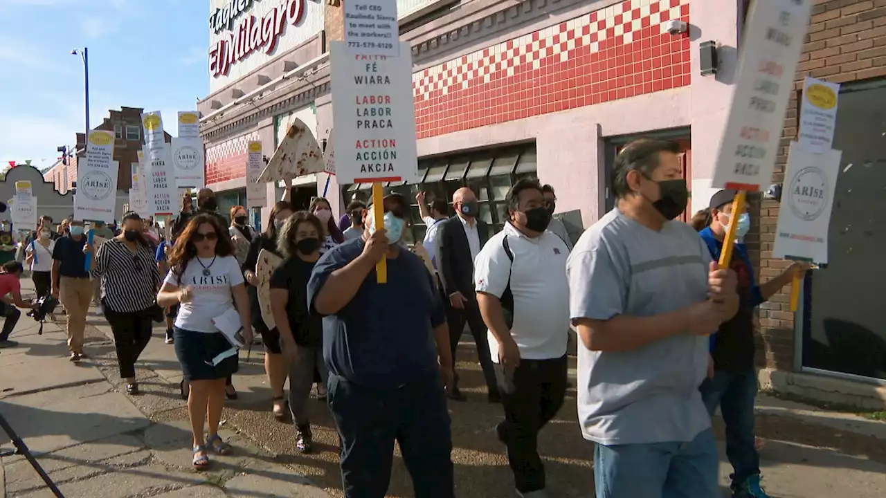 Census Says Volunteering Declined in Chicago, But New Report Highlights Community Organizing Work