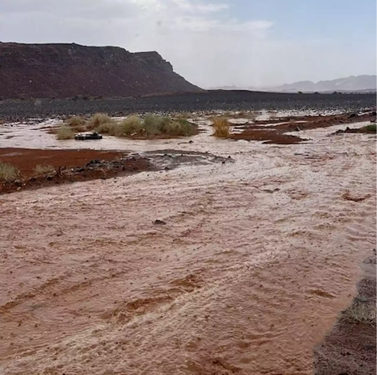 مشاهد من تساقط البرد وجريان السيول في تبوك | صحيفة المواطن الإلكترونية