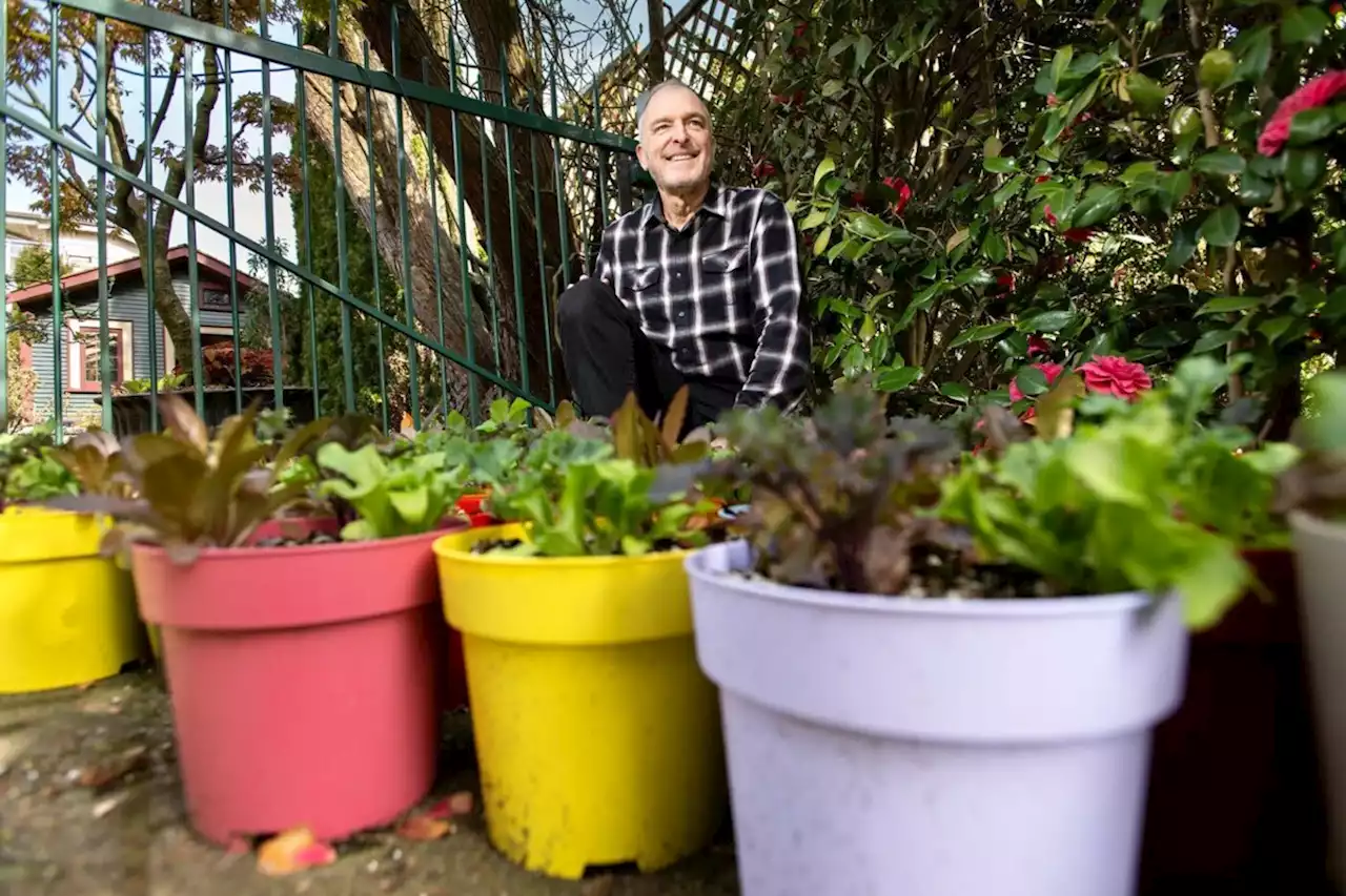 New West and Burnaby food program accepting fresh produce donations