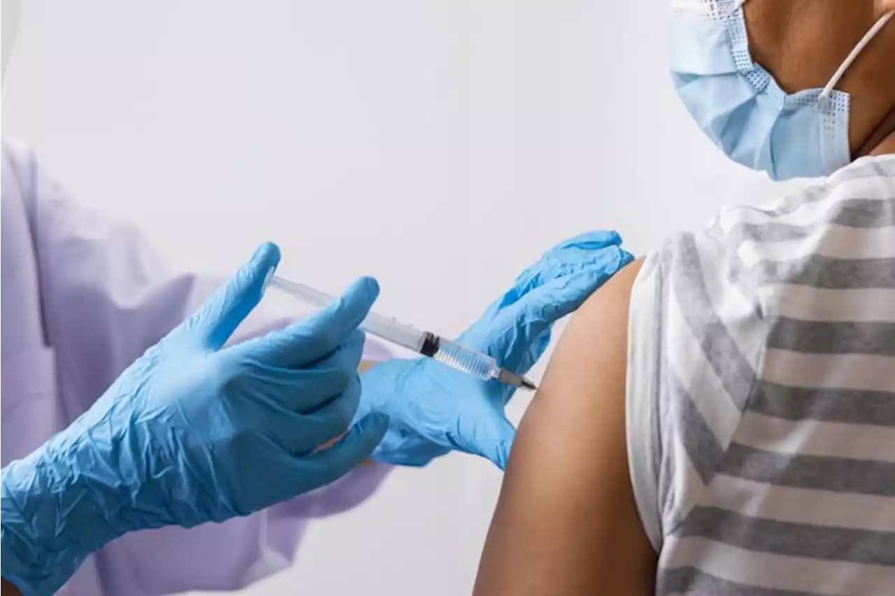 More than just another jab: The role of vaccines in helping prevent certain diseases - BusinessMirror