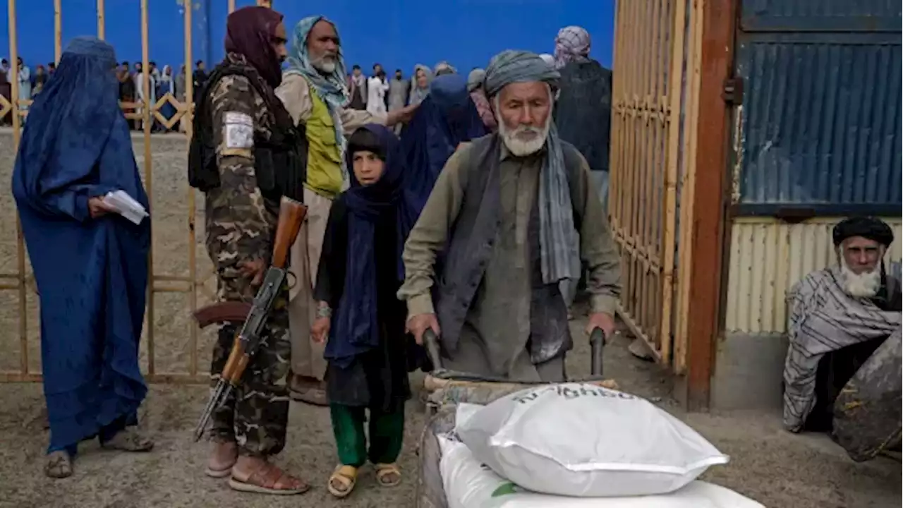 ANALYSIS | As Afghans go hungry, the West contends with the Taliban's broken promises | CBC News