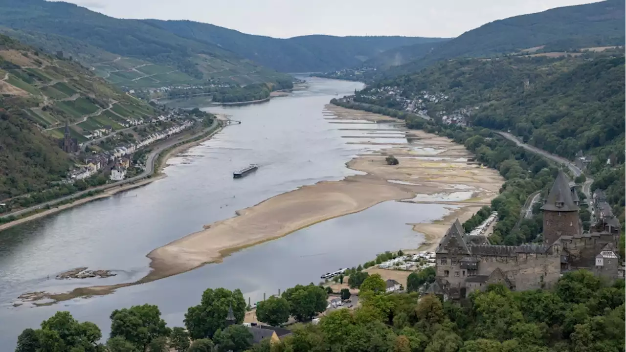 Europe drought: German industry at risk as Rhine falls