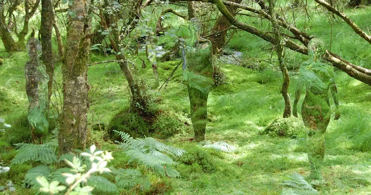 The forest walk in Aberfoyle where you'll find some truly magical mirror figures