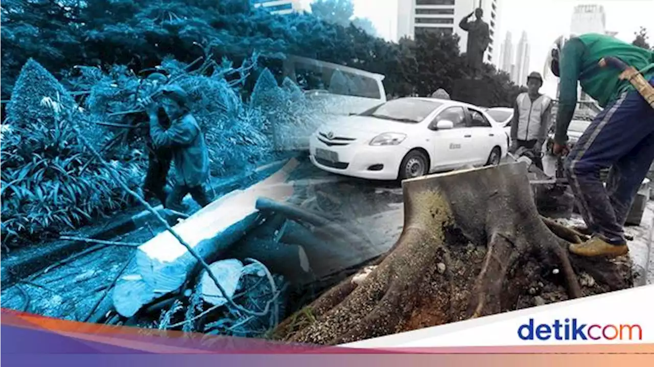 Angkot di Jaktim Ditimpa Pohon Tumbang, Penumpang Selamat