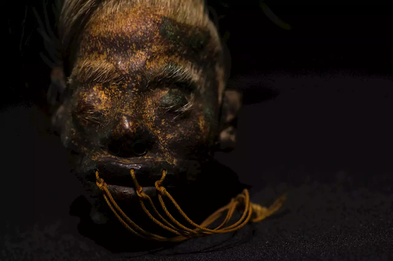 Researchers Prove Shrunken Head is Human and Shed Light on Mysterious Tradition