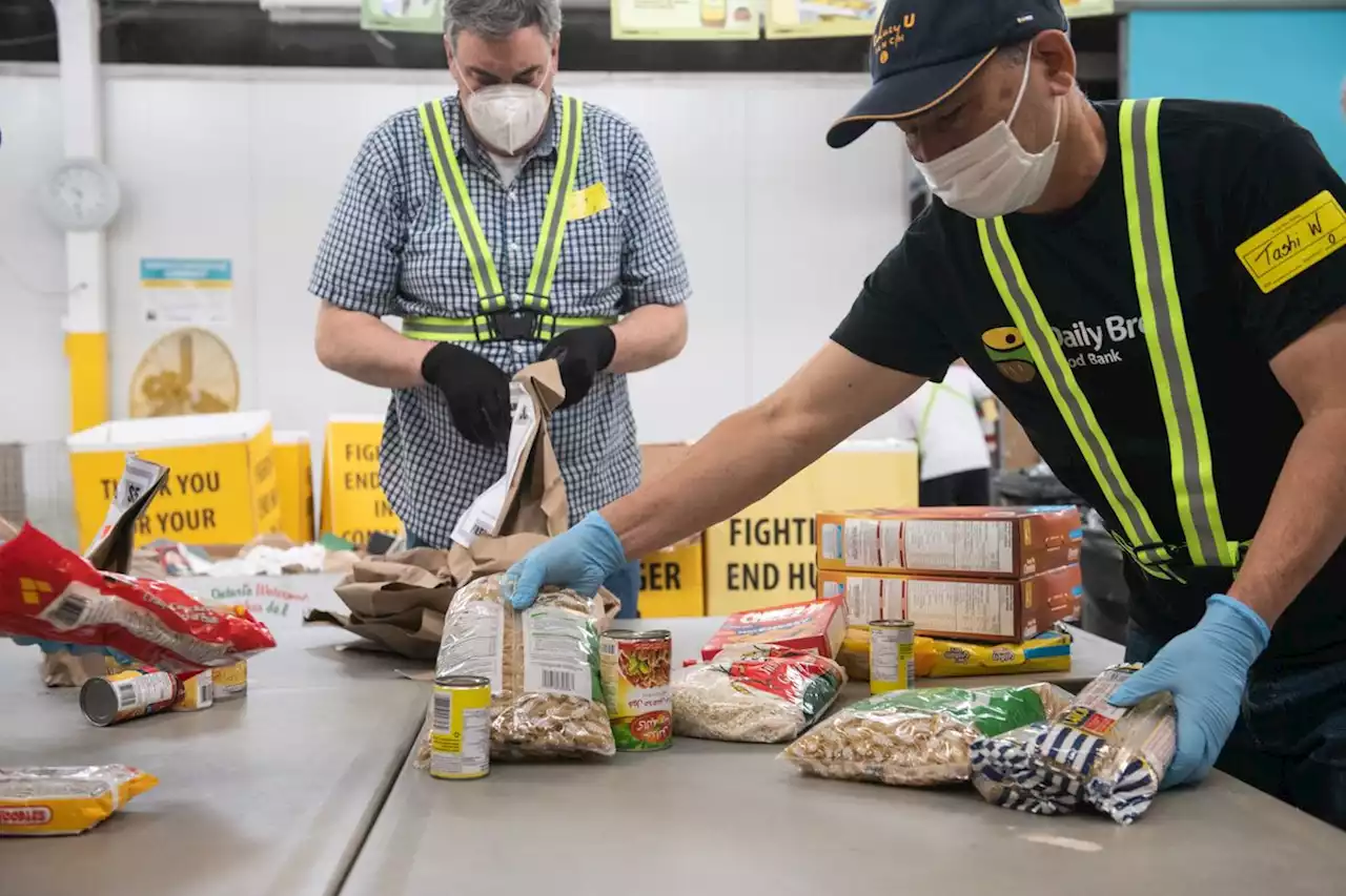 ‘A chronic problem’: New report says food insecurity in Canada remains at record highs