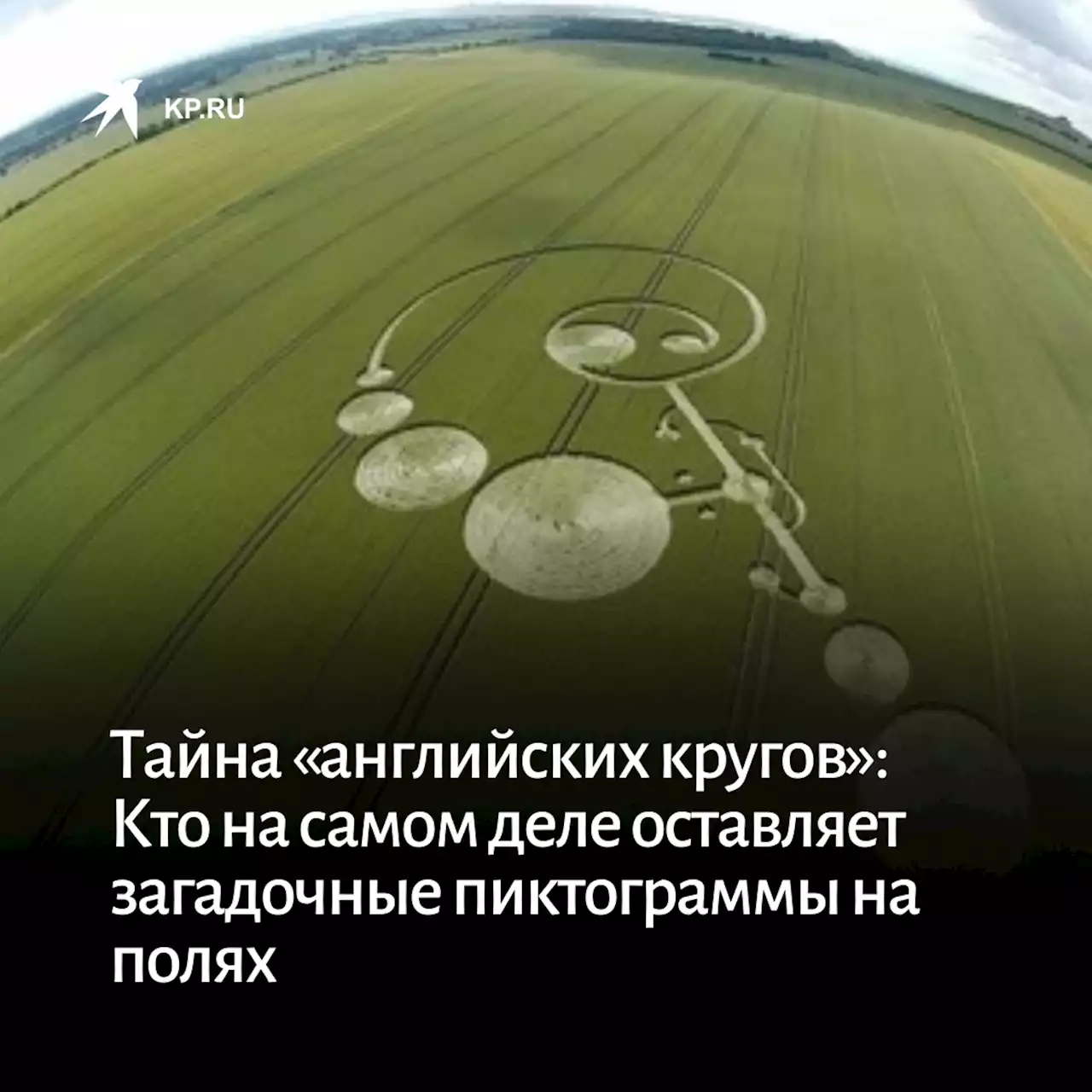 Тайна «английских кругов»: Кто на самом деле оставляет загадочные пиктограммы на полях