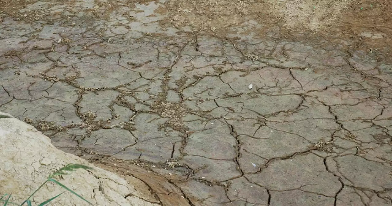 Weather experts hope for wetter fall months to ease ongoing drought in Texas