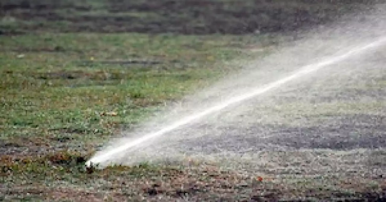 Officials Ask Some LA Residents To Stop Outdoor Watering For Two Weeks